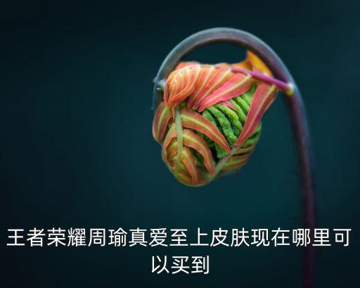 王者荣耀周瑜真爱至上皮肤现在哪里可以买到