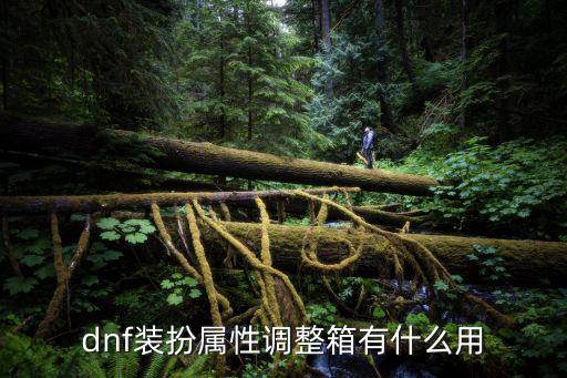 dnf装扮属性调整箱有什么用