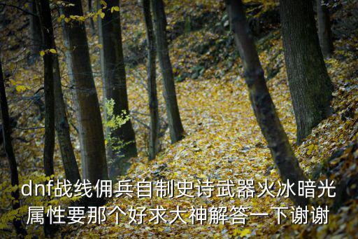 dnf战线佣兵走什么属性，Dnf佣兵走什么属强