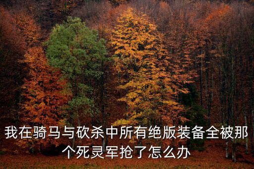 我在骑马与砍杀中所有绝版装备全被那个死灵军抢了怎么办