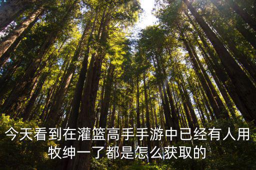 今天看到在灌篮高手手游中已经有人用牧绅一了都是怎么获取的