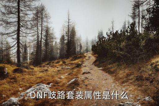 DNF歧路套装属性是什么