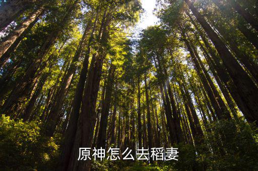 原神怎么去稻妻