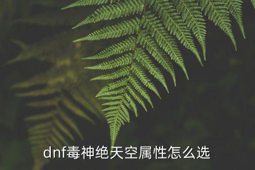 dnf毒神绝加强什么属性，DNF毒神绝装备走什么属性好