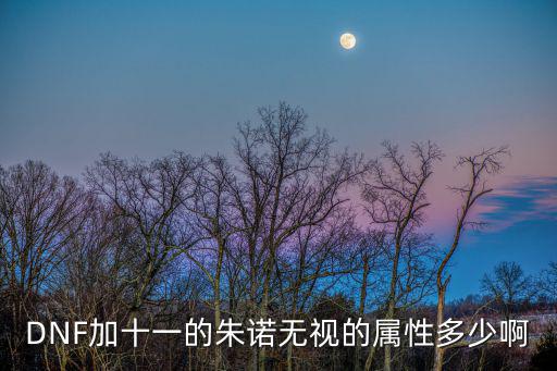 dnf无视不吃什么属性，dnf无视攻击有什么用
