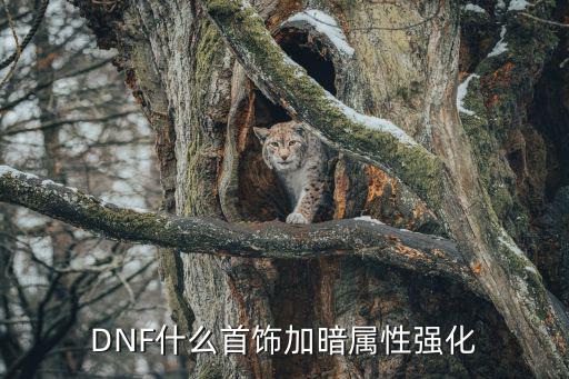 DNF什么首饰加暗属性强化