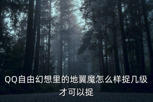 QQ自由幻想里的地翼魔怎么样捉几级才可以捉