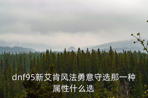 dnf95新艾肯风法勇意守选那一种属性什么选