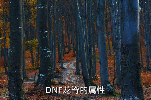 dnf龙脊是什么属性，龙脊的属性