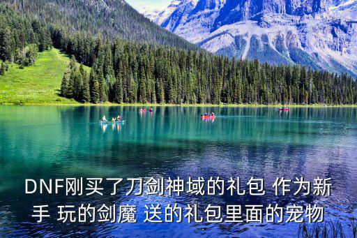 dnf剑魔宠物打什么属性，新剑魔想问走什么属强比较好刚买了套年套宠物宝珠