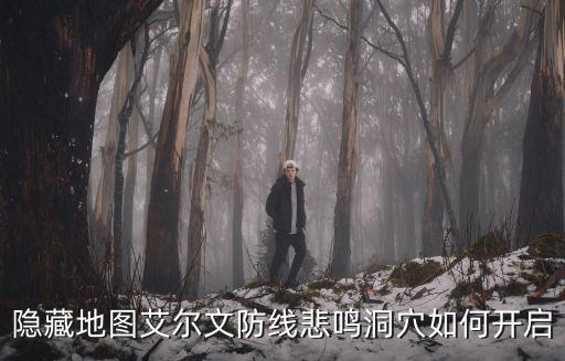 隐藏地图艾尔文防线悲鸣洞穴如何开启