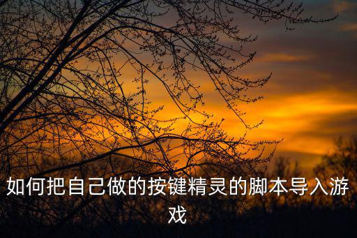 如何把自己做的按键精灵的脚本导入游戏