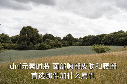 dnf元素时装 面部胸部皮肤和腰部首选哪件加什么属性