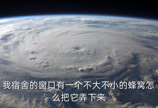 我宿舍的窗口有一个不大不小的蜂窝怎么把它弄下来