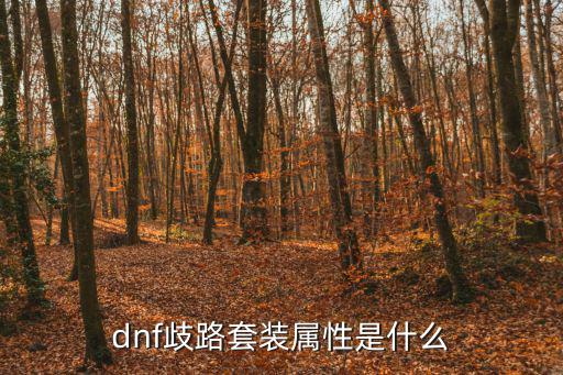 dnf歧路套装属性是什么