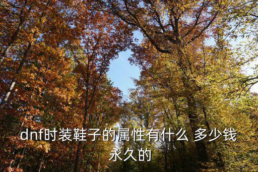 dnf时装鞋子的属性有什么 多少钱 永久的