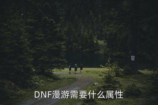 dnf漫游遴选属性选什么，DNF漫游需要什么属性