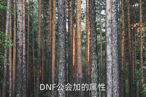 DNF公会加的属性