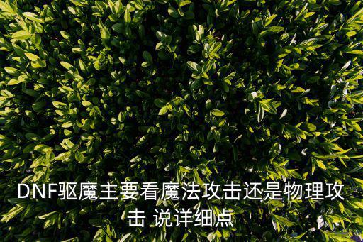 DNF驱魔主要看魔法攻击还是物理攻击 说详细点