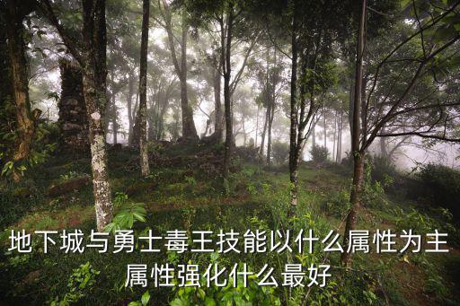 地下城与勇士毒王技能以什么属性为主属性强化什么最好