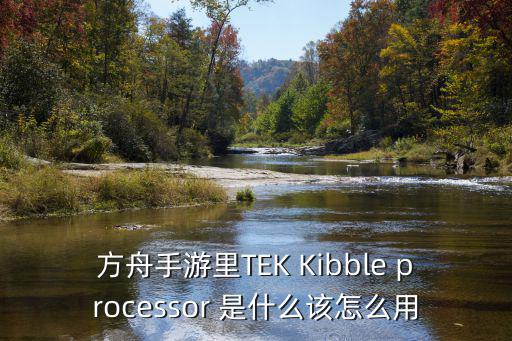 方舟手游地牢物品怎么让它带钥匙，方舟手游里TEK Kibble processor 是什么该怎么用
