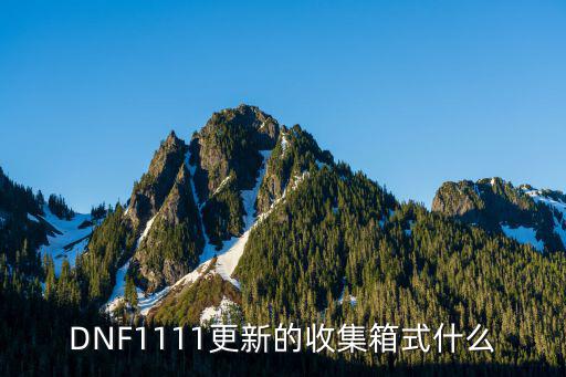 dnf收集箱属性是什么，DNF1111更新的收集箱式什么