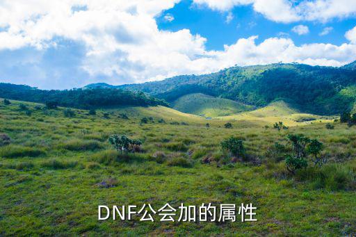 DNF公会加的属性