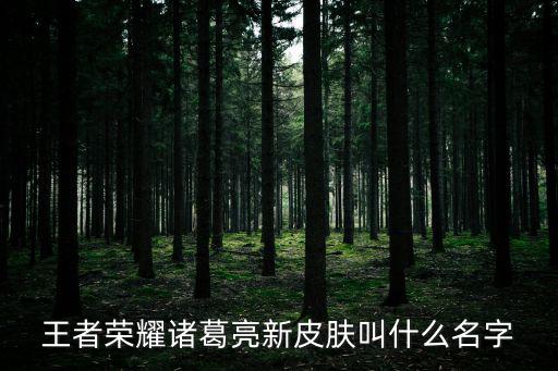 王者荣耀诸葛亮新皮肤叫什么名字