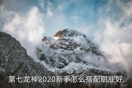 第七龙神2020新手怎么搭配职业好