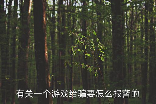 有关一个游戏给骗要怎么报警的