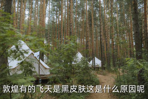 王者荣耀新皮肤4敦煌是什么，敦煌有的飞天是黑皮肤这是什么原因呢