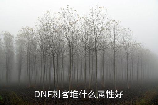 DNF刺客堆什么属性好