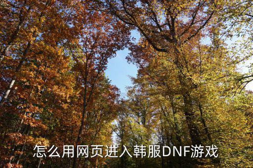 怎么用网页进入韩服DNF游戏