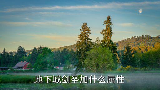 地下城剑圣加什么属性