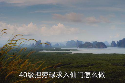 40级担劳碌求入仙门怎么做