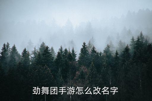 劲舞团手游怎么改名字