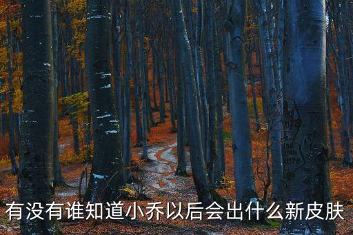 有没有谁知道小乔以后会出什么新皮肤