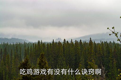 吃鸡游戏有没有什么诀窍啊