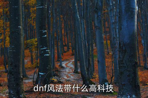 dnf 风法加什么属性，DNF传承劫风的精灵法仗都什么属性