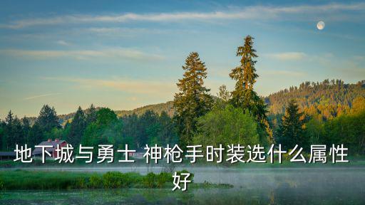 地下城与勇士 神枪手时装选什么属性好