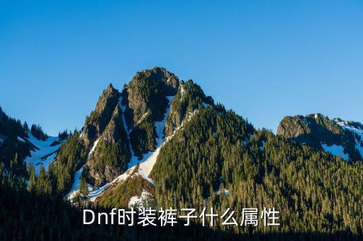 dnf时装裤子要什么属性，Dnf时装裤子什么属性