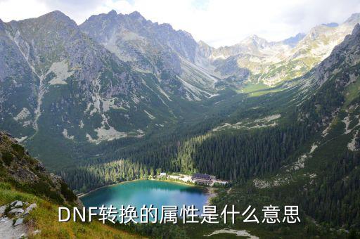 dnf扭转属性的是什么，DNF转换的属性是什么意思