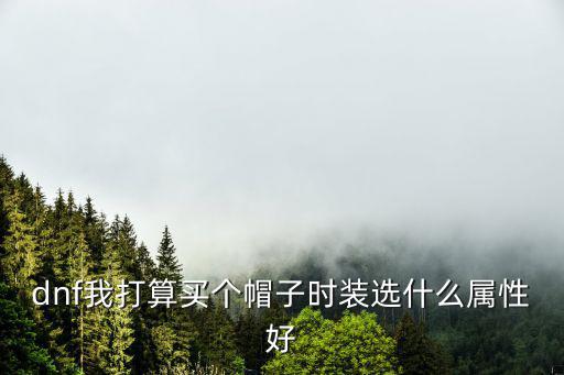 dnf我打算买个帽子时装选什么属性好