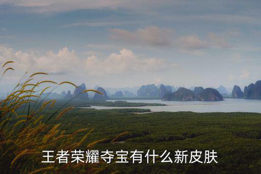 王者荣耀夺宝有什么新皮肤