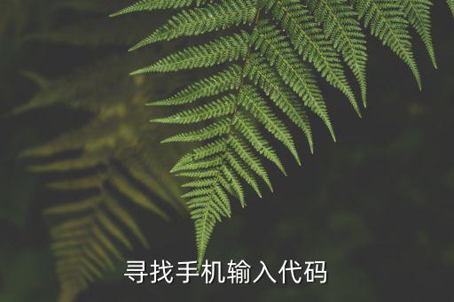 寻找手机输入代码