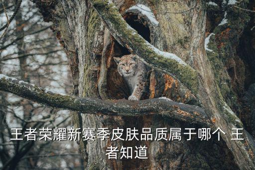 王者荣耀新赛季皮肤品质属于哪个 王者知道
