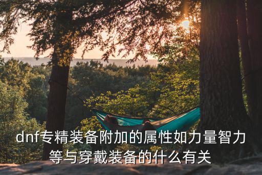 dnf专精装备附加的属性如力量智力等与穿戴装备的什么有关
