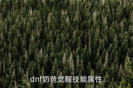 dnf奶爸觉醒技能属性