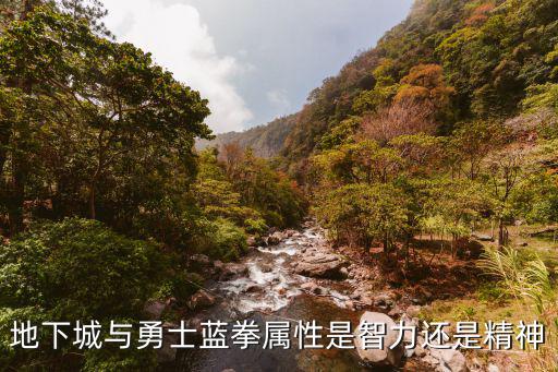 地下城与勇士蓝拳属性是智力还是精神