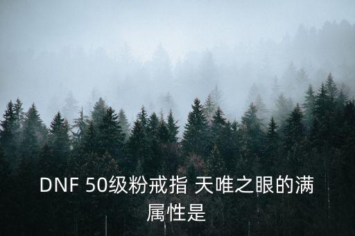 DNF 50级粉戒指 天唯之眼的满属性是